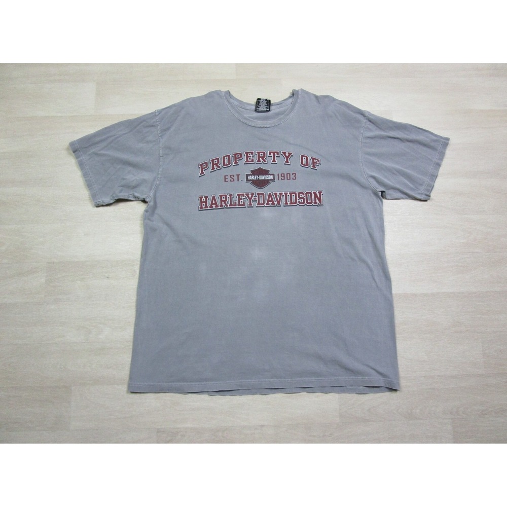 Harley Davidson Motorcycles T Shirt (XL) 2019 Spell-Out Graphic Logo Ohio Biker